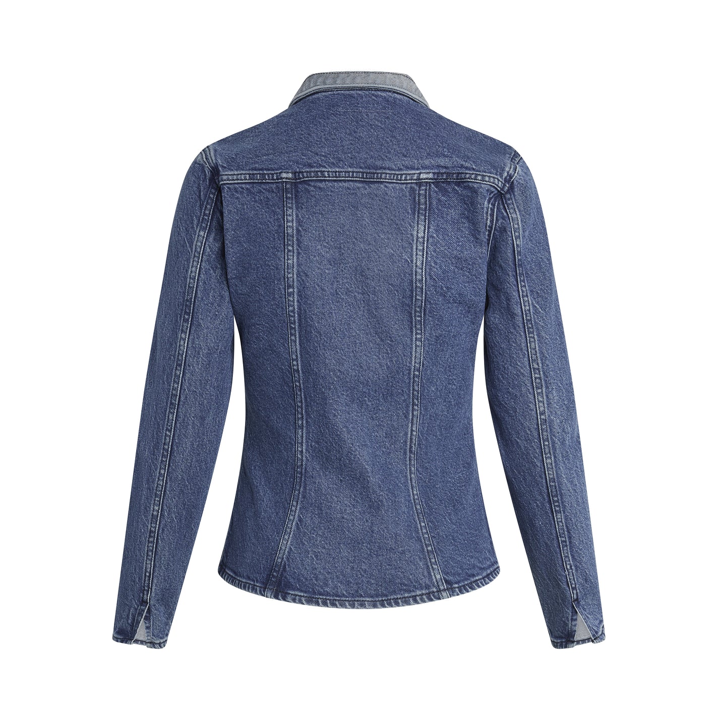 DAILYBLUE-DONNA